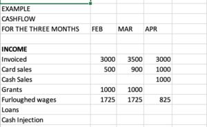 Example cashflow layout showing month column and income rows